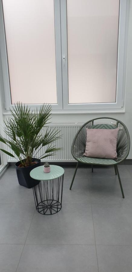 אוסטנדה Apartment Villa Ksenija מראה חיצוני תמונה